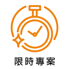 限時專案